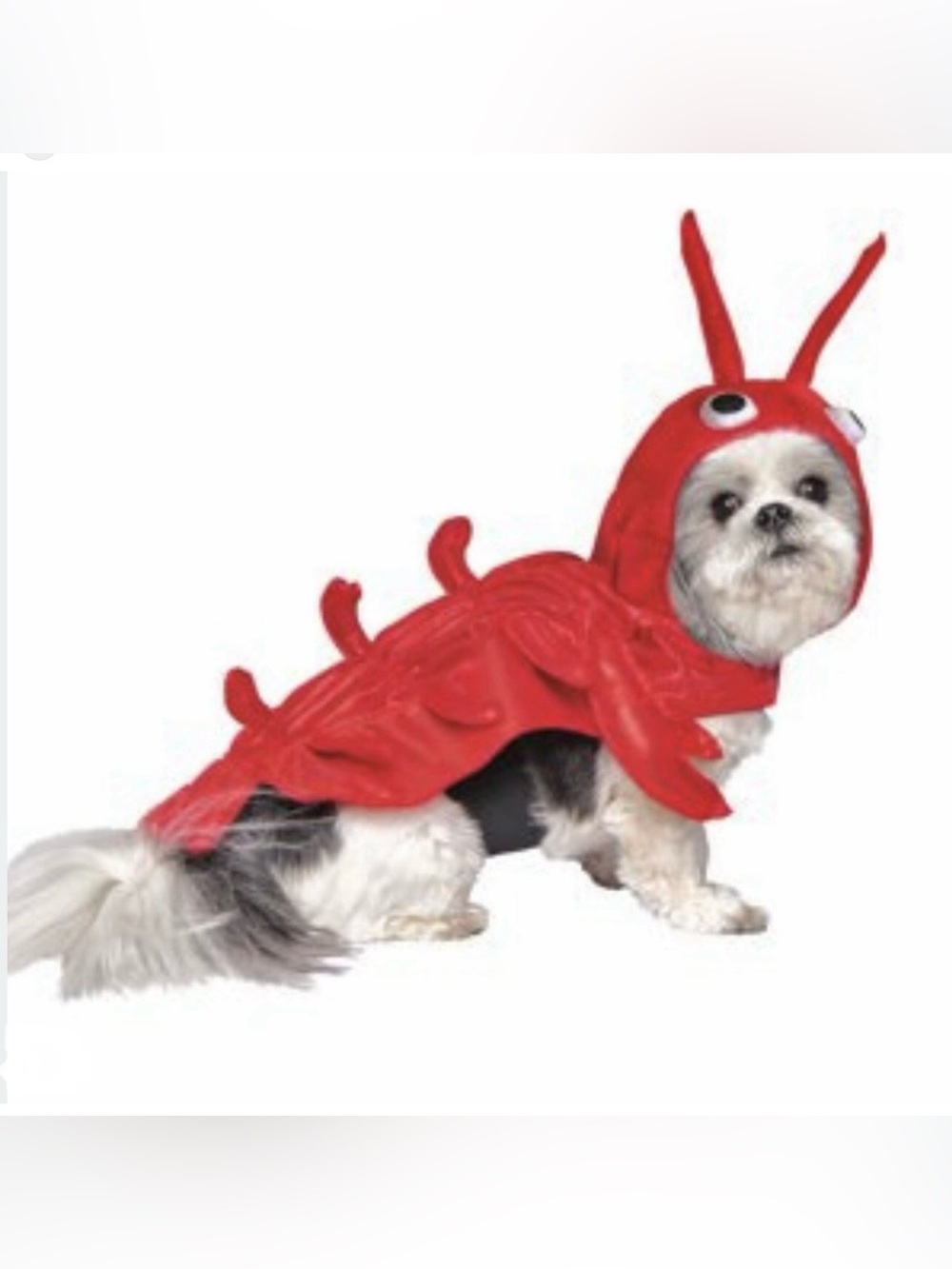 Red Lobster Pet Costume for Dogs~ Size M